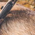 How Authentic Stories Helped One Firearms Company Dominate Brand Identity in the Hunting Market