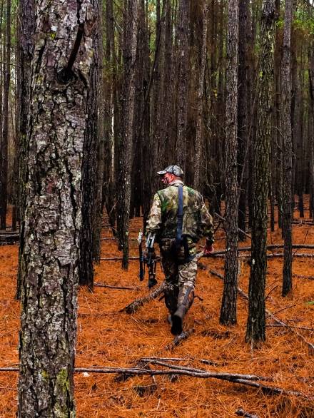 orange-deer-hunter-hunting-fall-woods-pines-peaceful-pine-needles-seeking_t20_mv9kxv